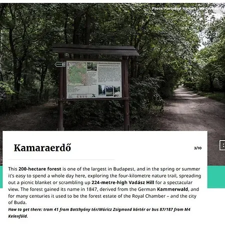 Elizavarlak شقة