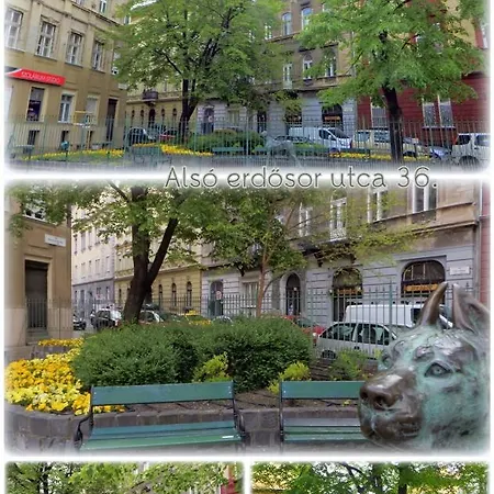 Apartment Elizavarlak